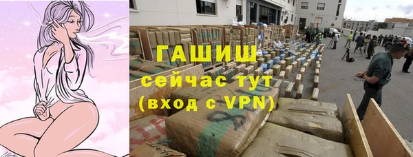 крисы Алзамай