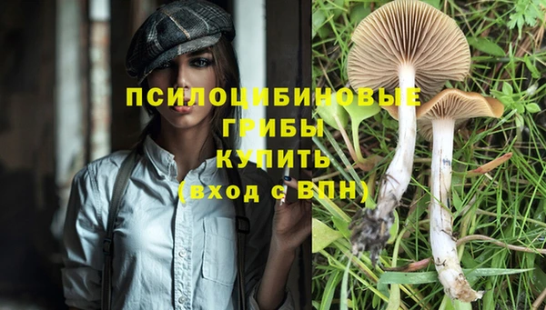 мяу мяу мука Алексеевка