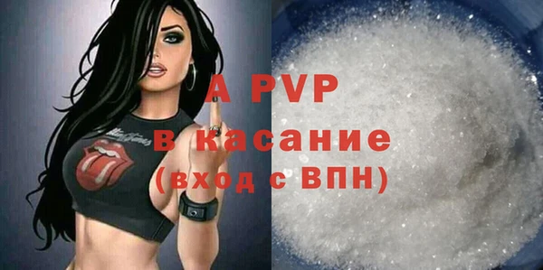 крисы Алзамай