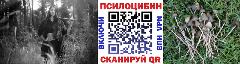 shop официальный сайт  Славск  Псилоцибиновые грибы прущие грибы 